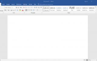 Microsoft Word Screenshots
