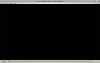 QuickTime Screenshots