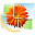 Windows Live Photo Gallery
